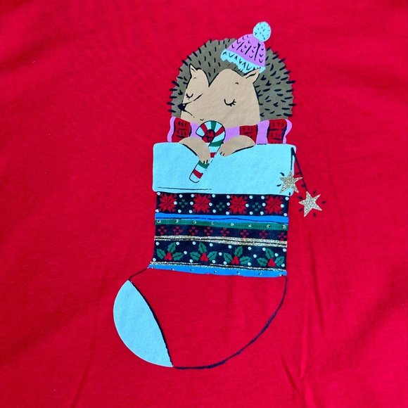 NEW HOLIDAY TEE SHIRTS LONG SLEEVE RED Hedgehog Stocking Small 6-6x Unisex - Picture 2 of 3